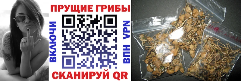 Галлюциногенные грибы мицелий  как найти закладки  это Telegram  Обнинск 